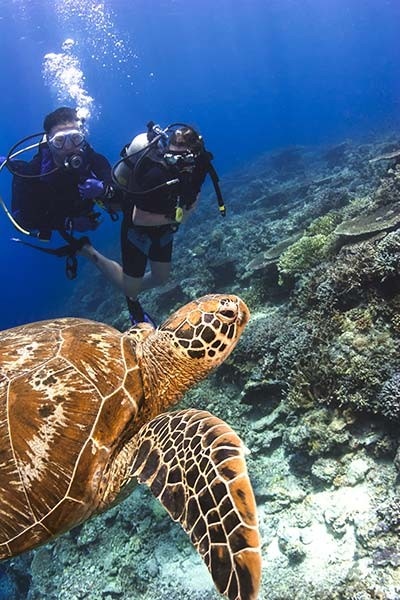 Maldives Diving Tour